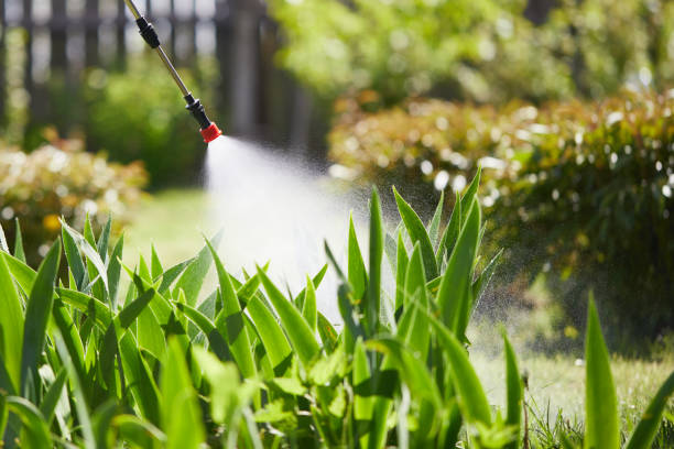 24/7 Emergency Pest Control experts in Cary, IL