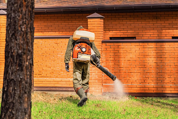 Top rated local Pest Control specialists in Cary, IL